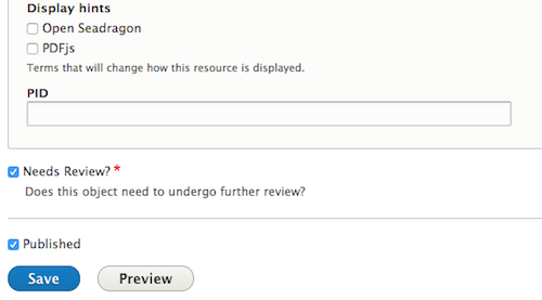 a screenshot of a "Needs Review?" field appearing at the bottom of a new node form