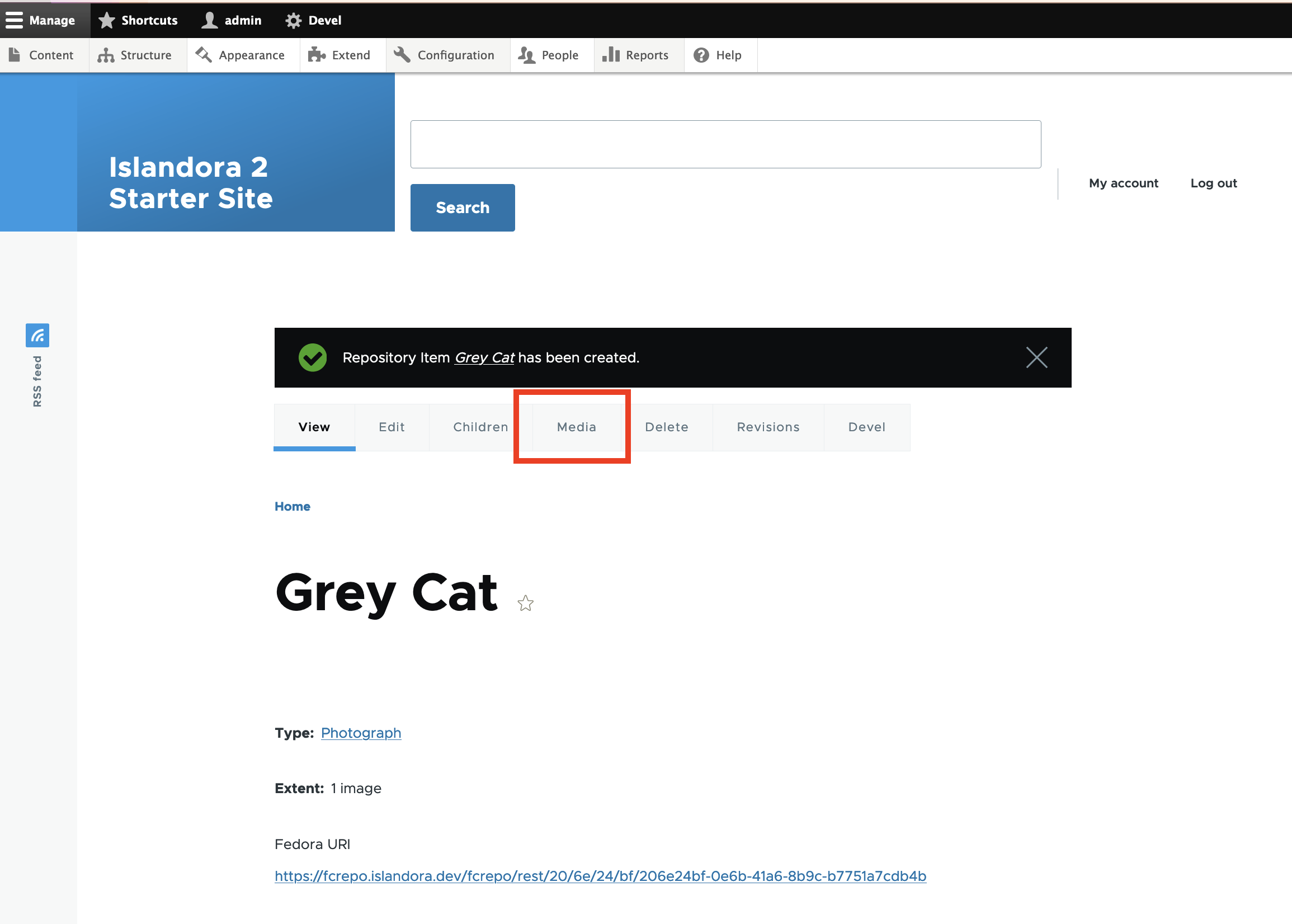 Node page showing Media tab