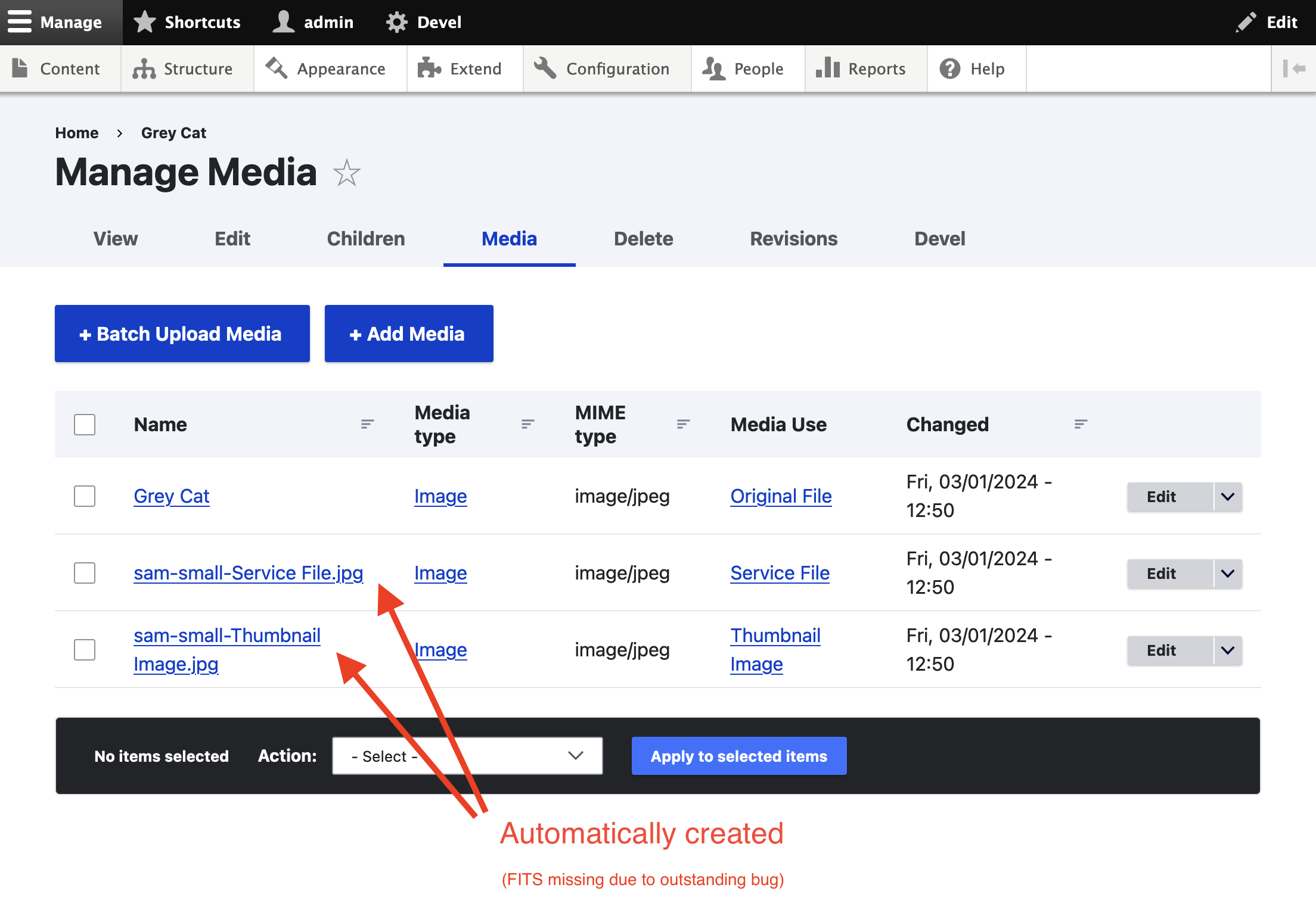 Derivatives were created and are listed under the Media tab.