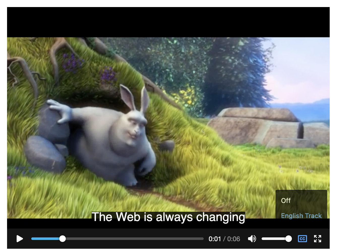 Screenshot of captions on a video, with the menu open showing available caption tracks