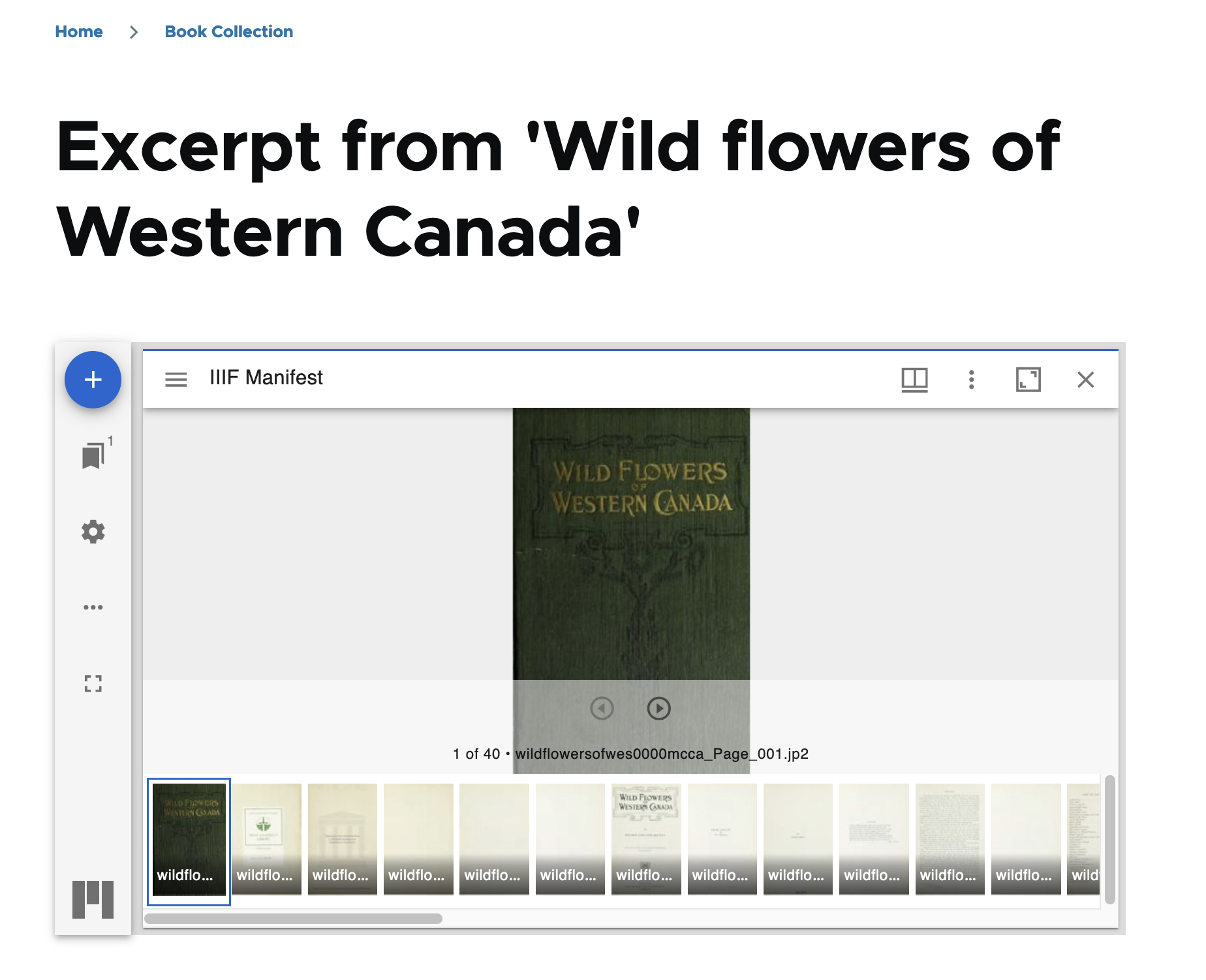 Screenshot of a Paged Content resource node displaying the Mirador viewer with the first child resource node displayed.